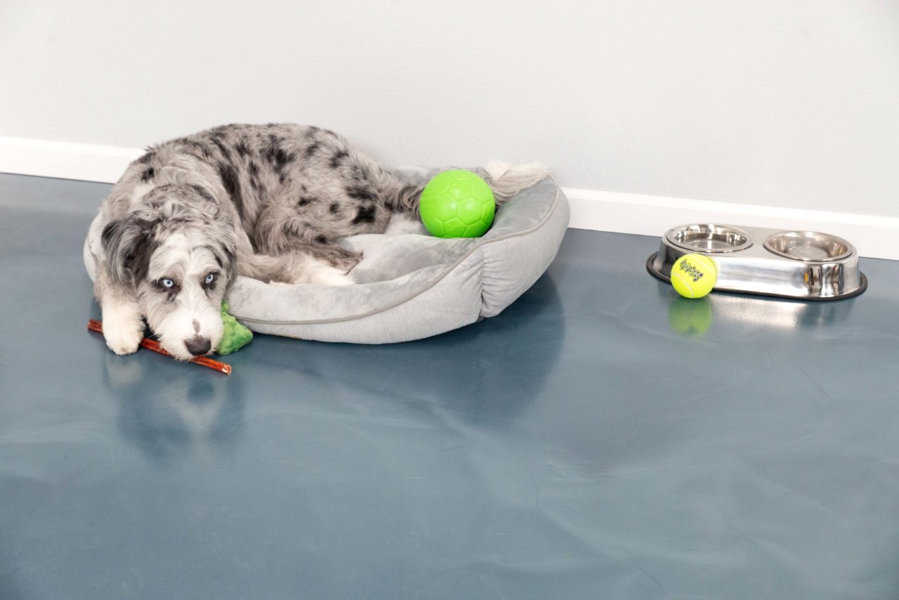 Azure - Pearlescent Metallic Pigment