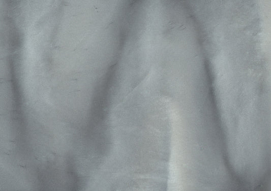 Dolphin - Pearlescent Metallic Pigment