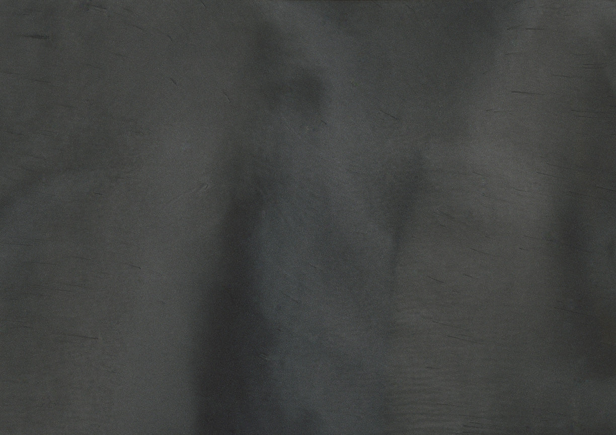 Whale - Pearlescent Metallic Pigment