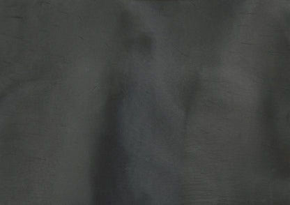 Whale - Pearlescent Metallic Pigment