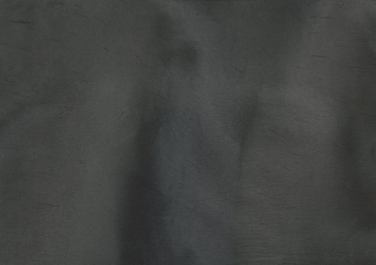 Whale - Pearlescent Metallic Pigment