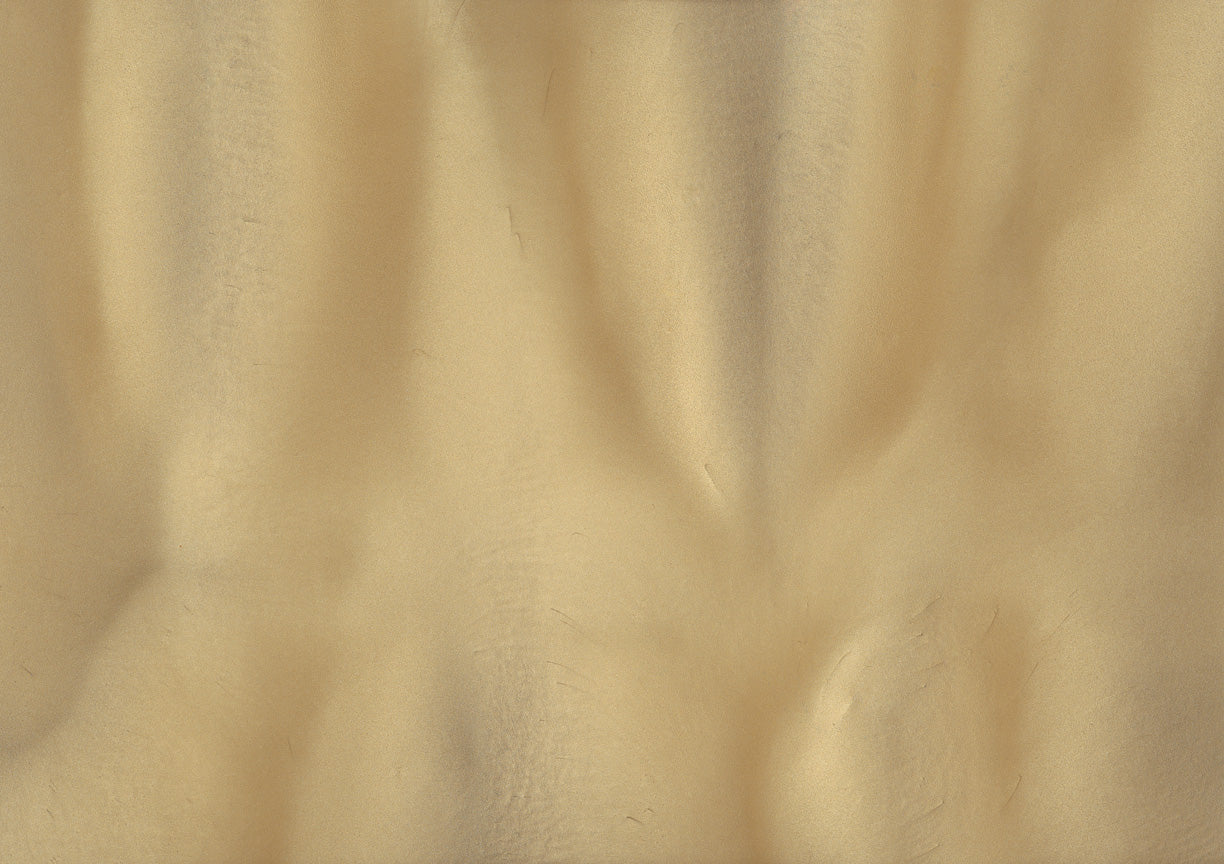 Sandbar - Pearlescent Metallic Pigment