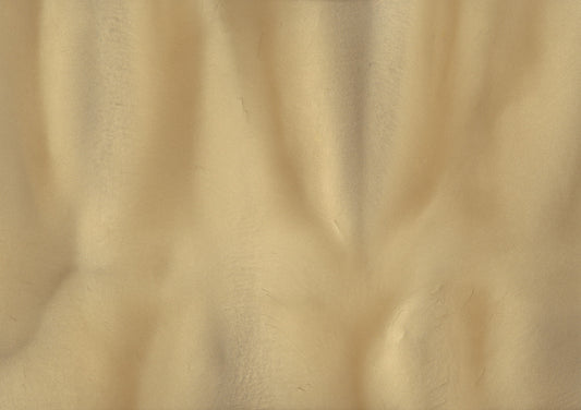 Sandbar - Pearlescent Metallic Pigment