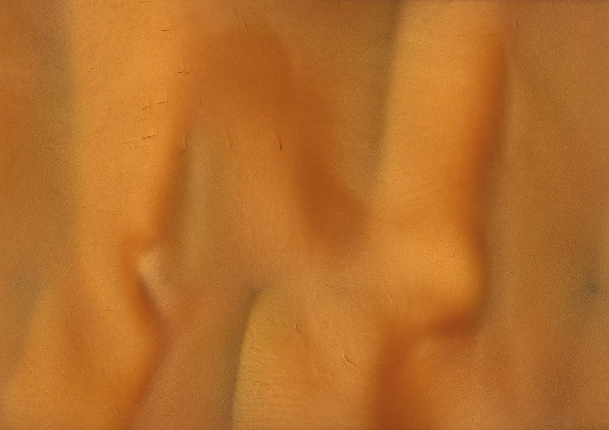 Lager - Pearlescent Metallic Pigment