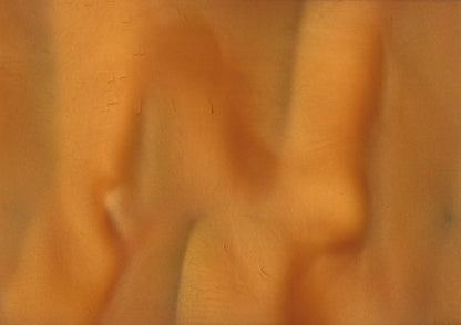 Lager - Pearlescent Metallic Pigment