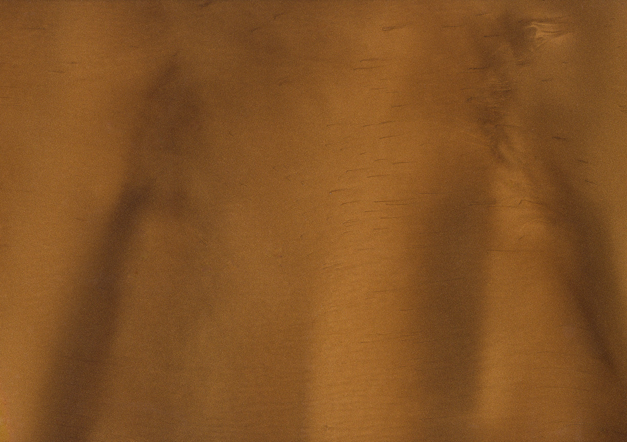 Driftwood - Pearlescent Metallic Pigment