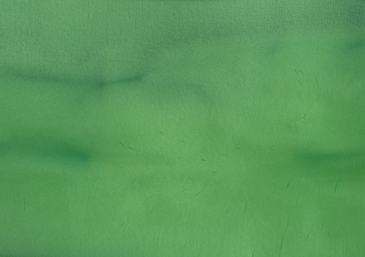 Avocado - Pearlescent Metallic Pigment